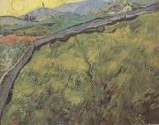 Field of Spring Wheat at Sunrise (nn04) Vincent Van Gogh